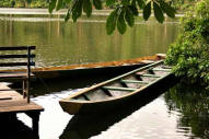 Lake Chalalan in Madidi National Park